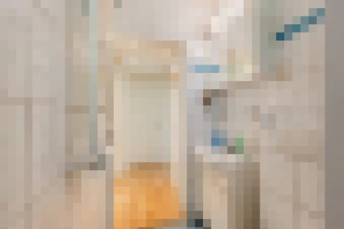 Oshaarseweg 24 134 Echten thumbnail 16