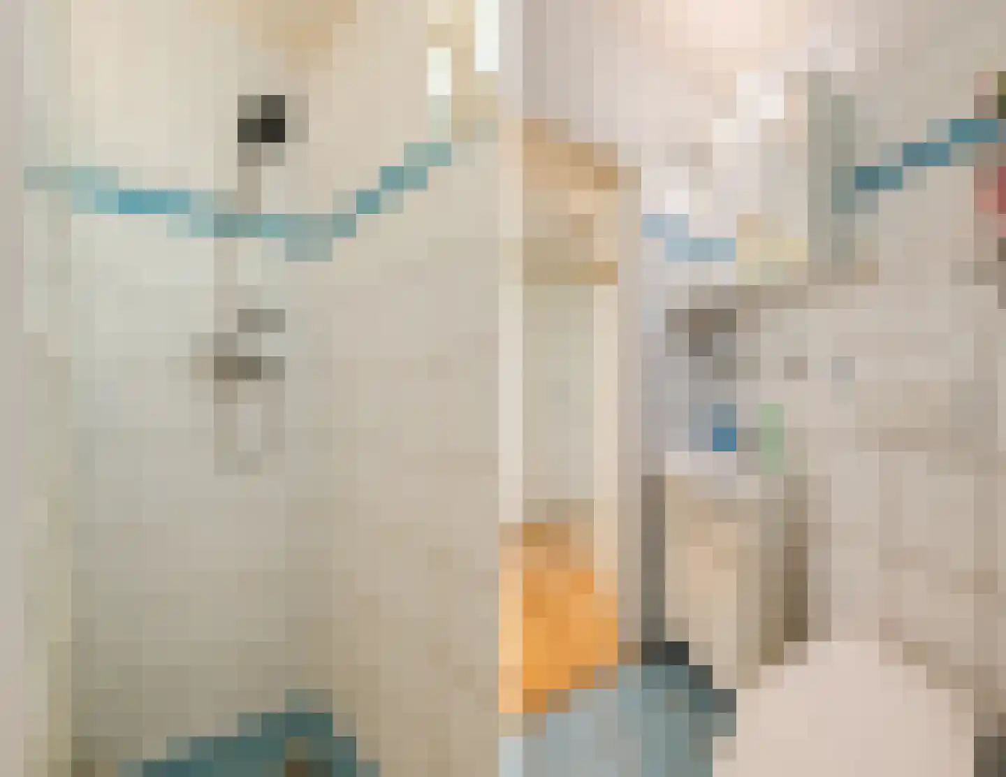 Oshaarseweg 24 134 Echten thumbnail 17