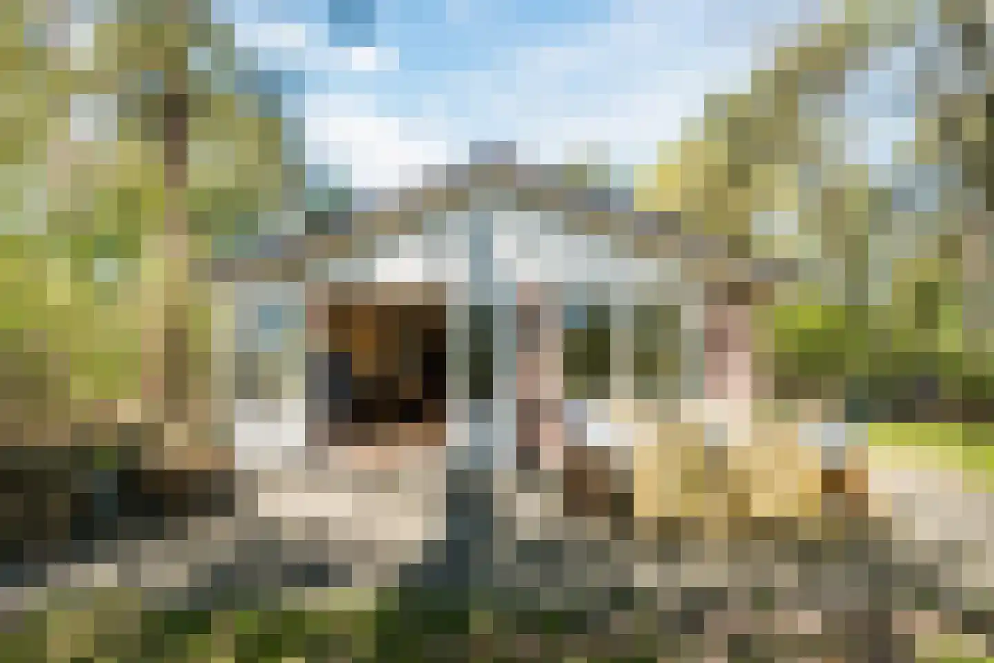 Oshaarseweg 24 134 Echten thumbnail 29