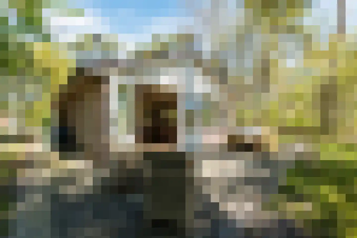 Oshaarseweg 24 134 Echten thumbnail 30