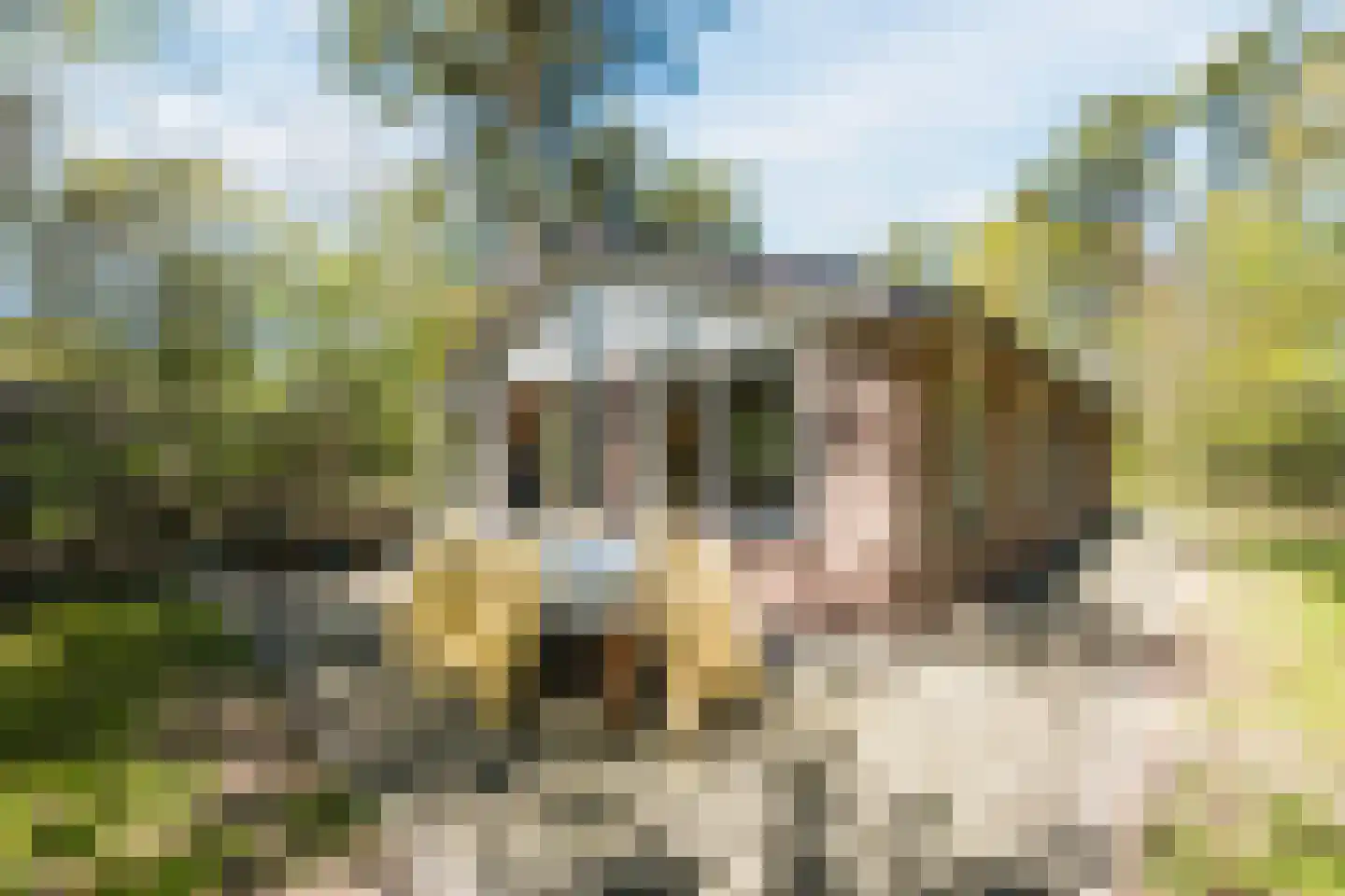 Oshaarseweg 24 134 Echten thumbnail 31