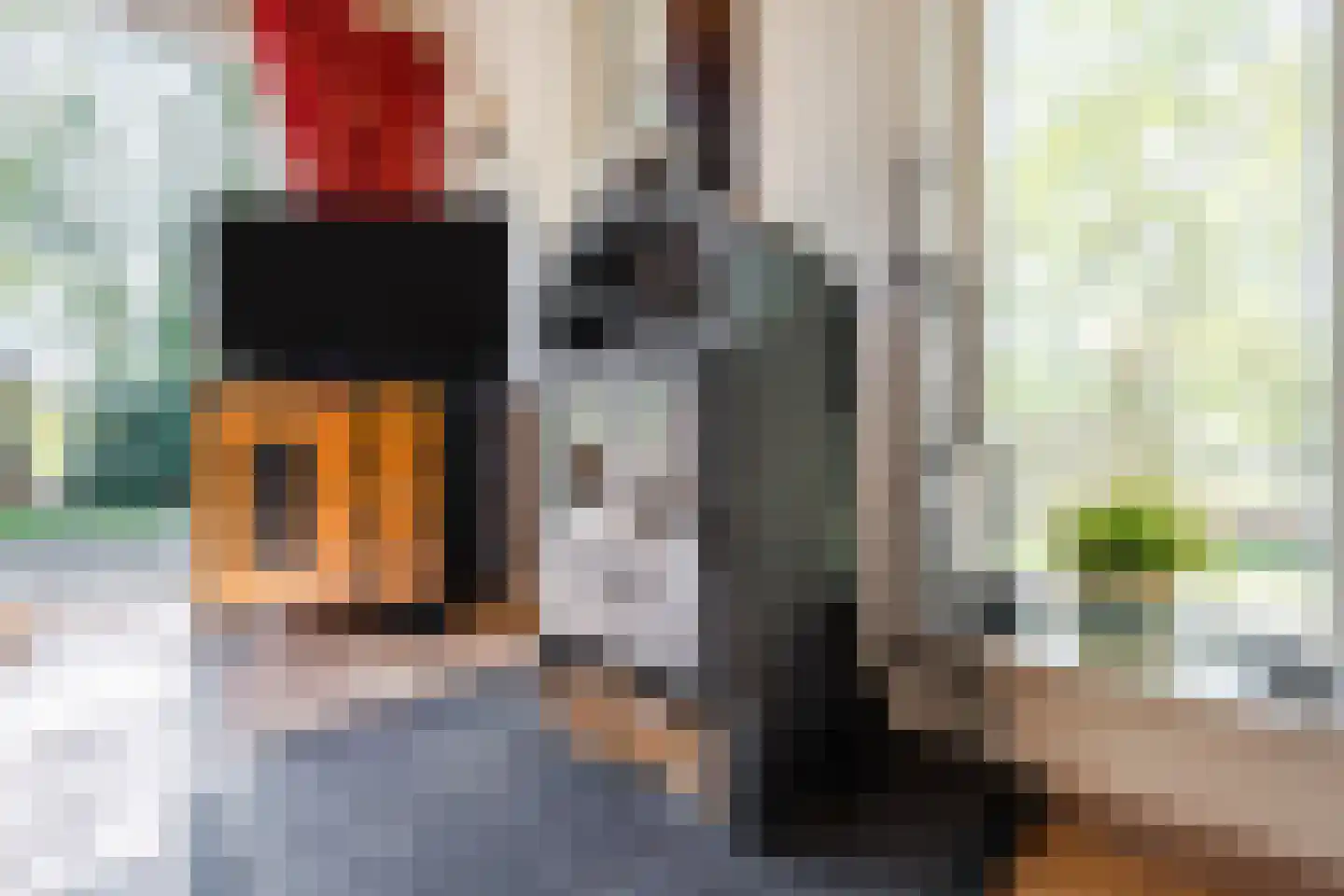 Oshaarseweg 24 134 Echten thumbnail 8