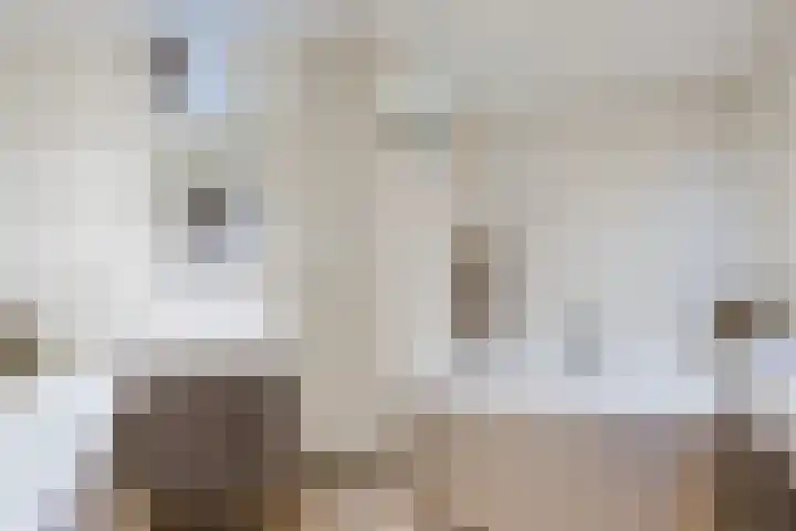 Oshaarseweg 24 154 Echten thumbnail 27