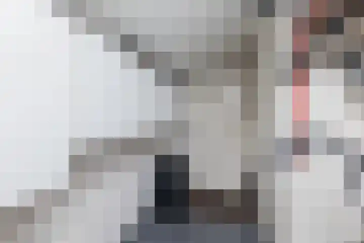Oshaarseweg 24 154 Echten thumbnail 30