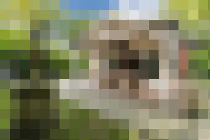 Oshaarseweg 24 154 Echten thumbnail 32