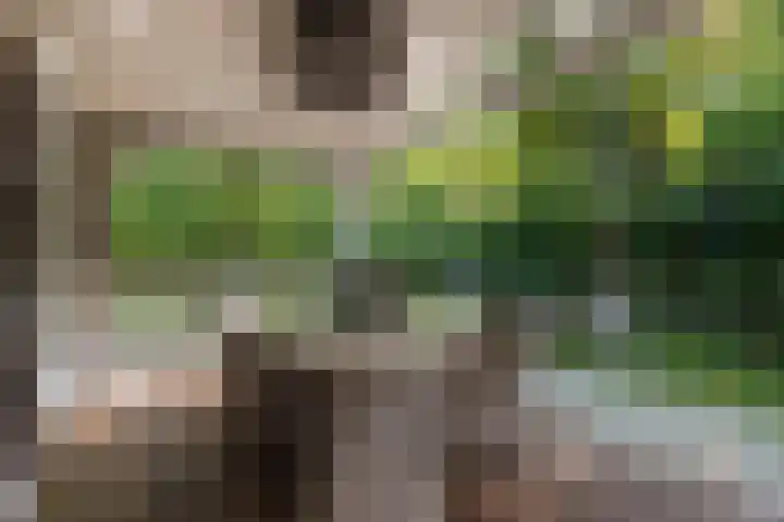 Oshaarseweg 24 154 Echten thumbnail 33