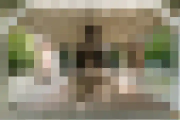Oshaarseweg 24 154 Echten thumbnail 34