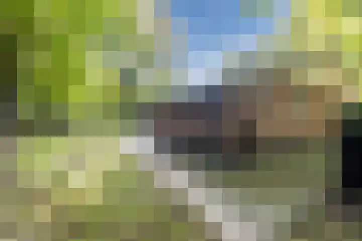 Oshaarseweg 24 154 Echten thumbnail 36