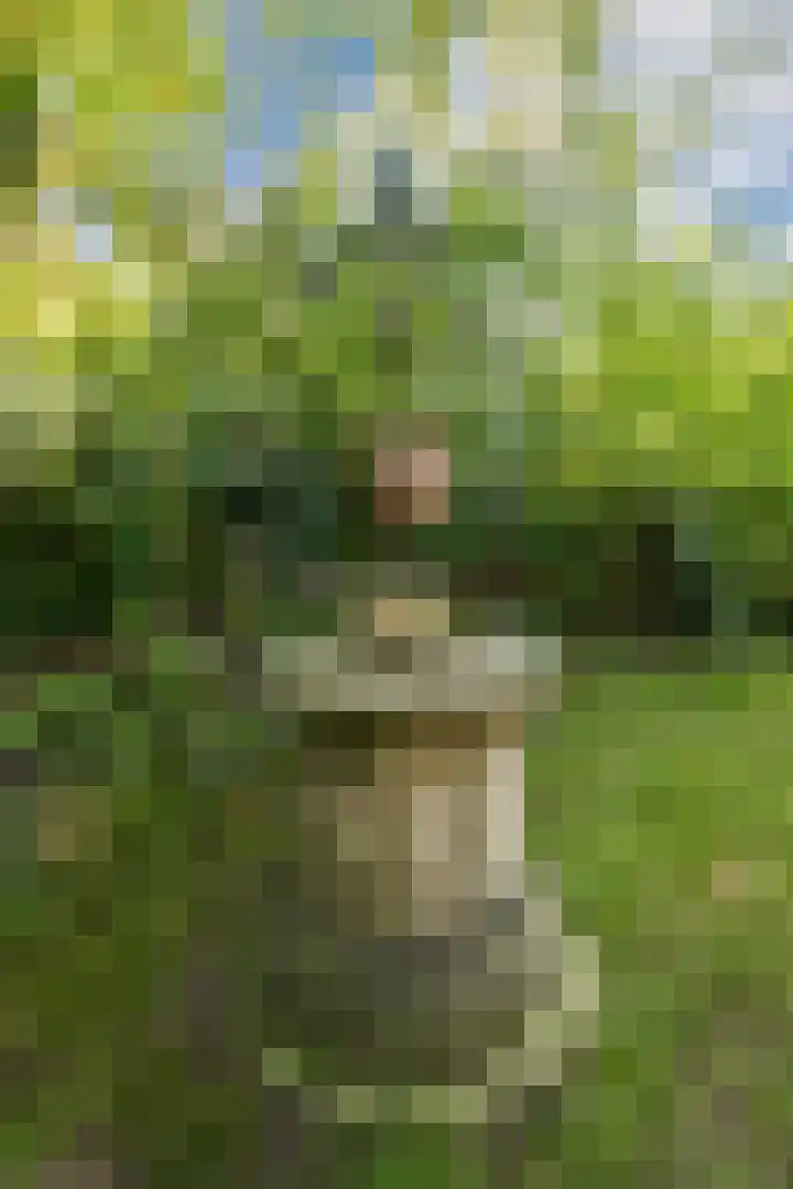 Oshaarseweg 24 154 Echten thumbnail 37