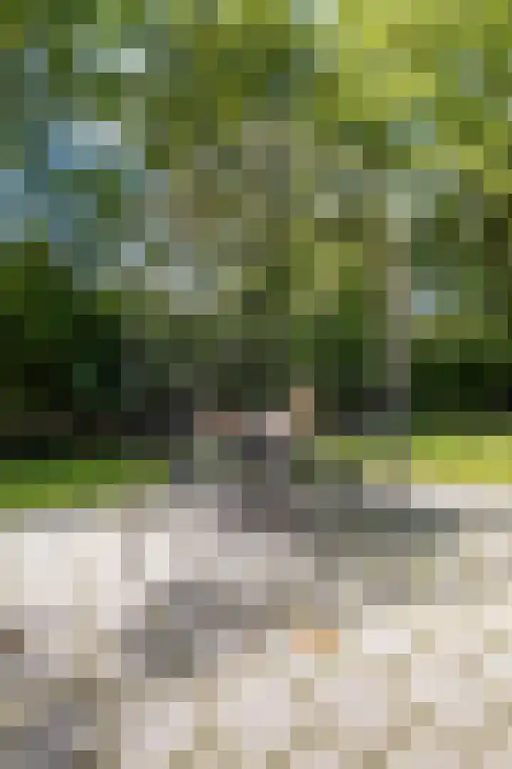 Oshaarseweg 24 154 Echten thumbnail 38