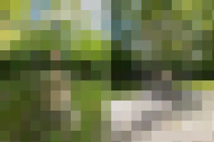 Oshaarseweg 24 154 Echten thumbnail 39