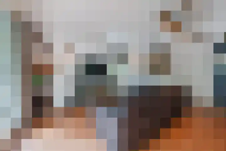 Oshaarseweg 24 154 Echten thumbnail 4
