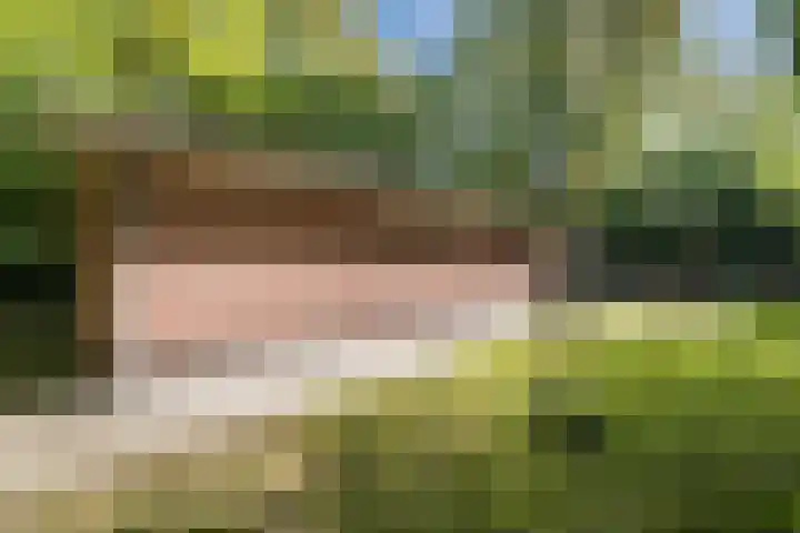 Oshaarseweg 24 154 Echten thumbnail 40