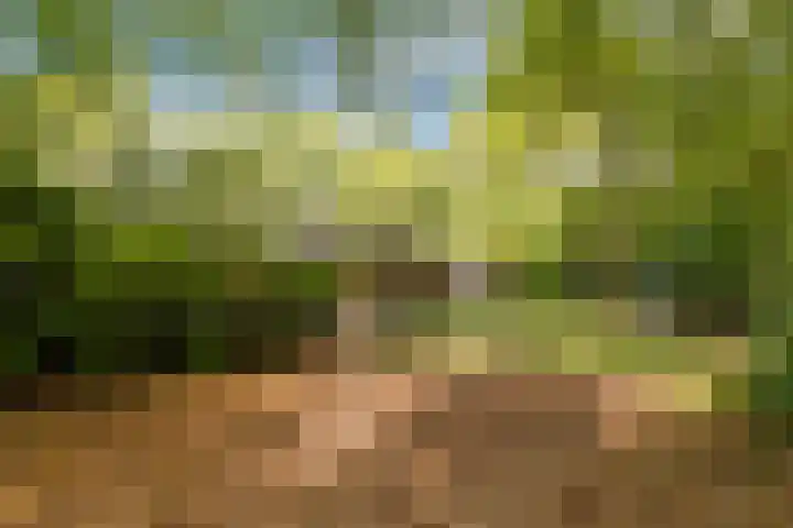 Oshaarseweg 24 154 Echten thumbnail 41