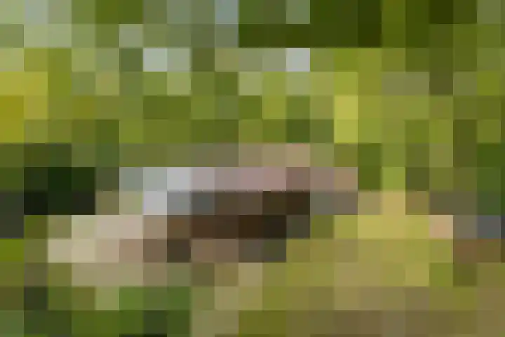 Oshaarseweg 24 154 Echten thumbnail 42