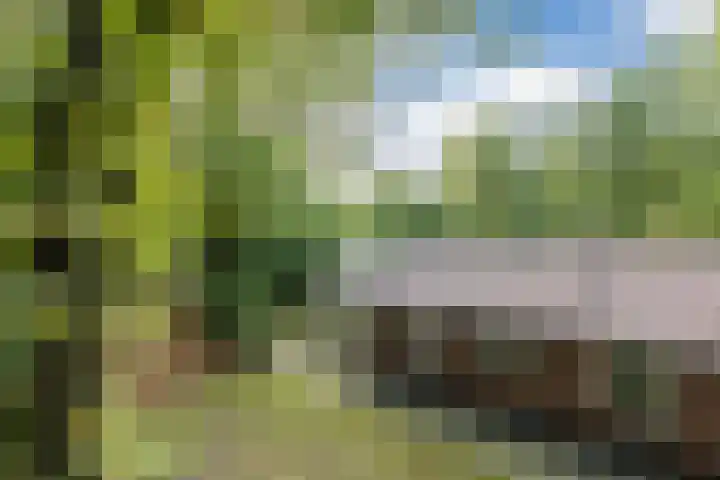 Oshaarseweg 24 154 Echten thumbnail 45