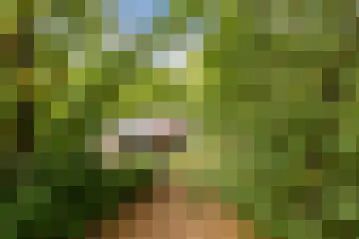 Oshaarseweg 24 154 Echten thumbnail 46