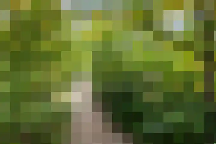 Oshaarseweg 24 154 Echten thumbnail 47