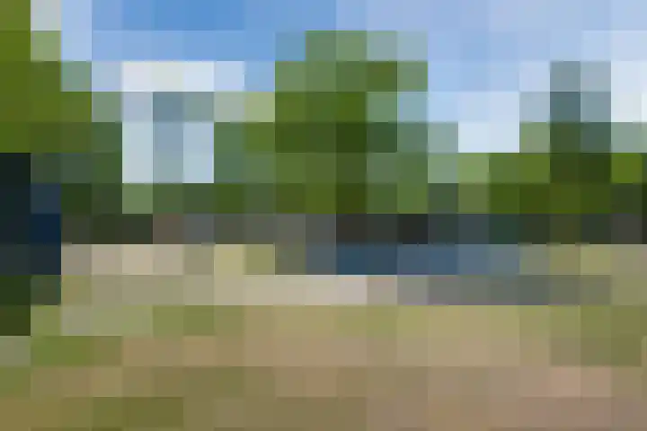 Oshaarseweg 24 154 Echten thumbnail 48