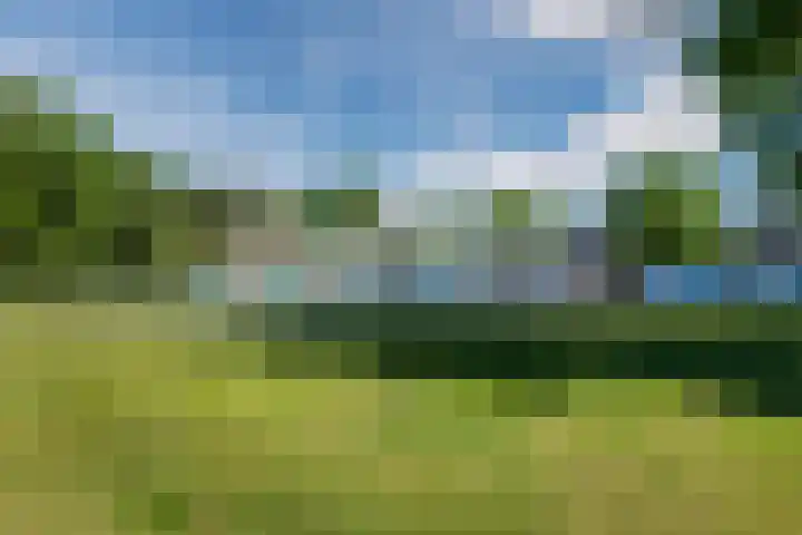 Oshaarseweg 24 154 Echten thumbnail 49