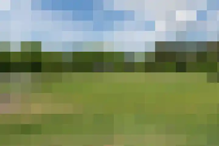 Oshaarseweg 24 154 Echten thumbnail 50