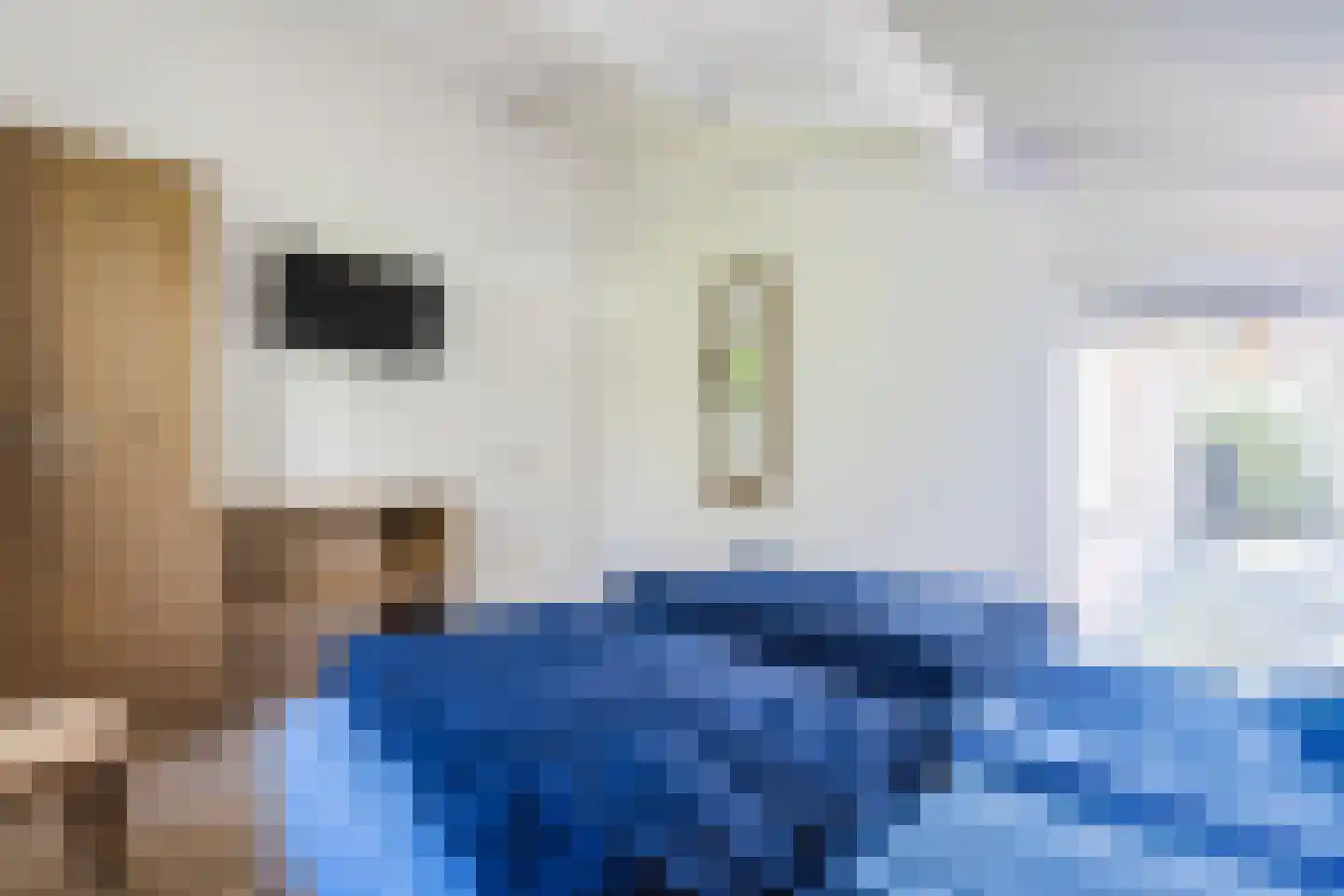 Oshaarseweg 24 165 Echten thumbnail 10