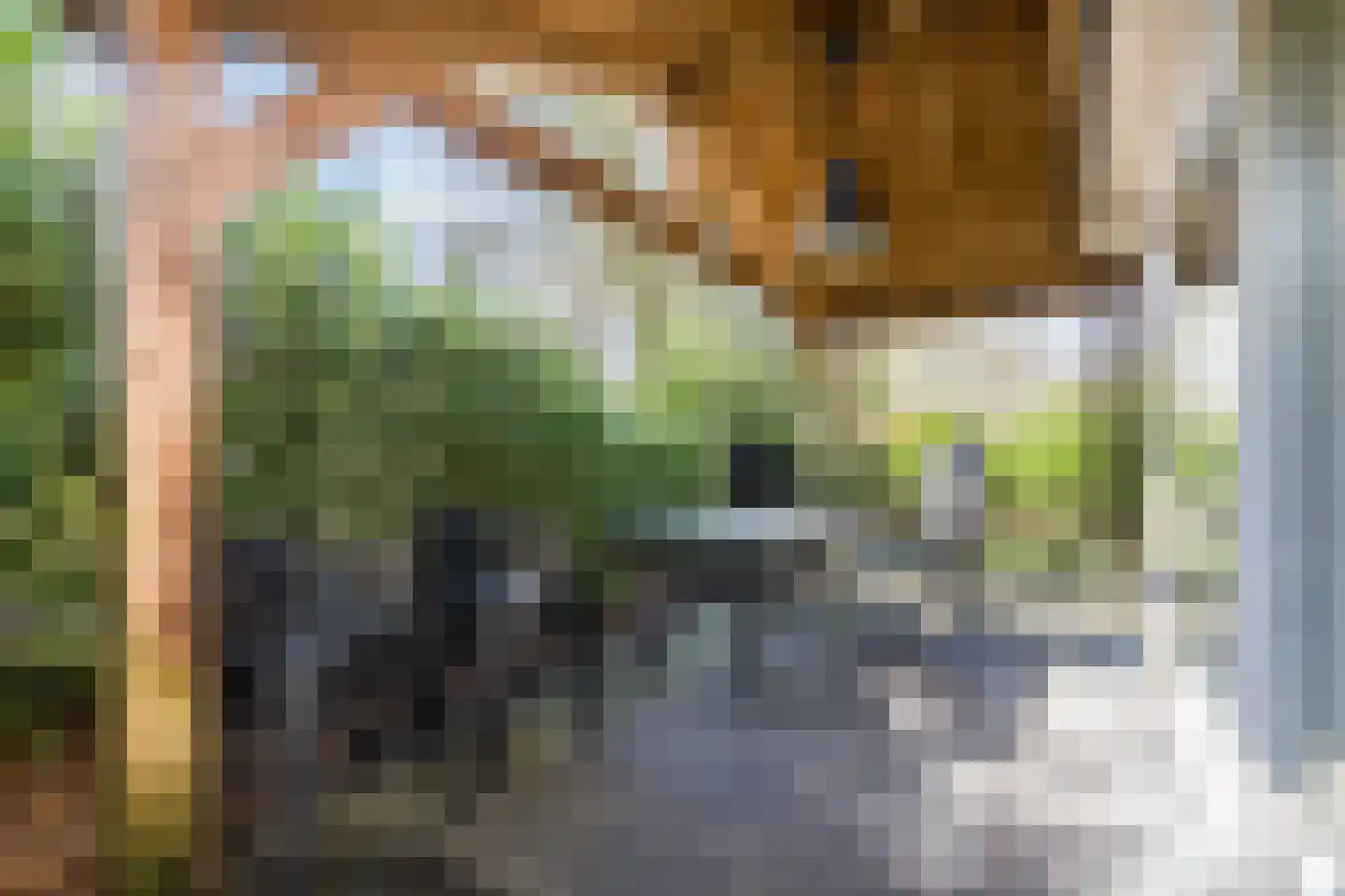 Oshaarseweg 24 165 Echten thumbnail 21