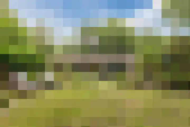 Oshaarseweg 24 31 Echten