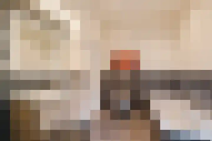 Oshaarseweg 24 31 Echten thumbnail 19