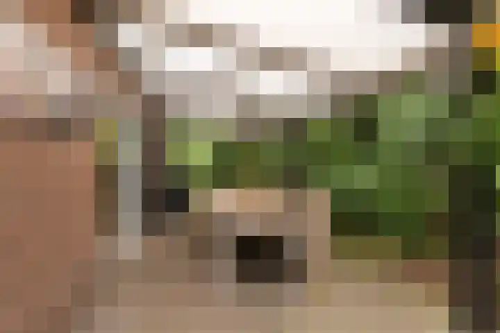 Oshaarseweg 24 31 Echten thumbnail 22
