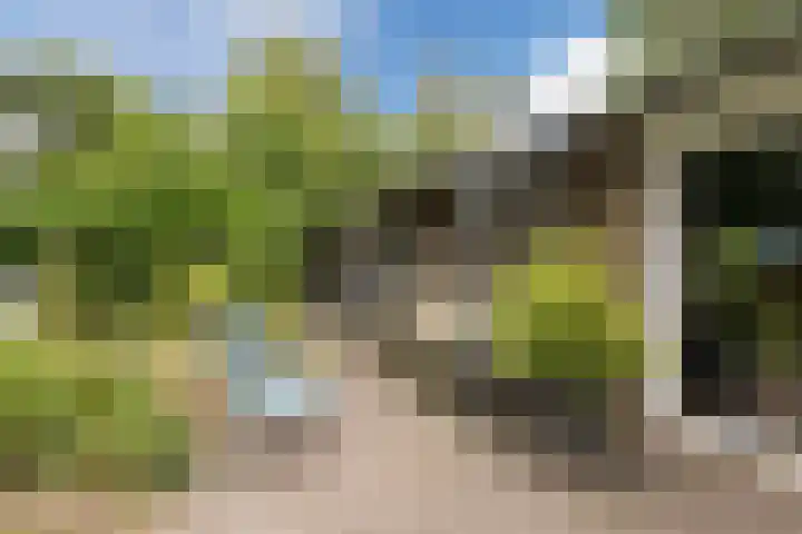 Oshaarseweg 24 31 Echten thumbnail 24