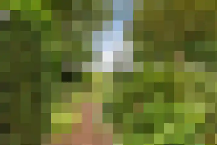 Oshaarseweg 24 31 Echten thumbnail 25