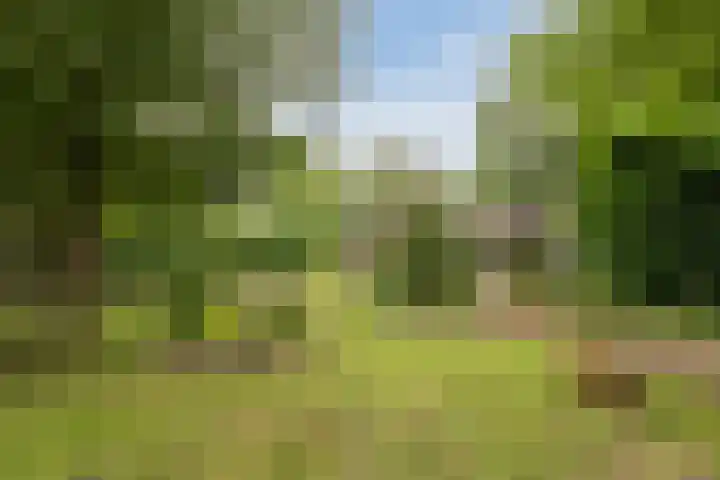 Oshaarseweg 24 31 Echten thumbnail 26