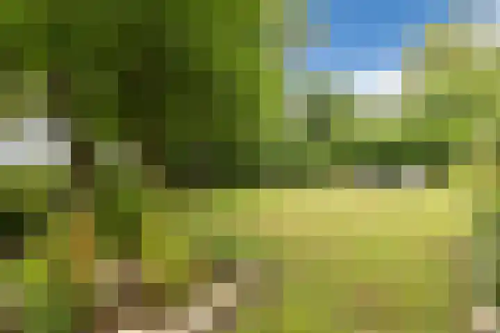 Oshaarseweg 24 31 Echten thumbnail 27