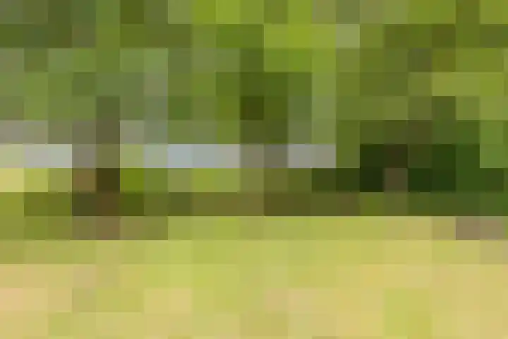Oshaarseweg 24 31 Echten thumbnail 28