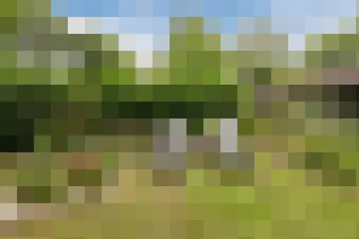 Oshaarseweg 24 31 Echten thumbnail 29