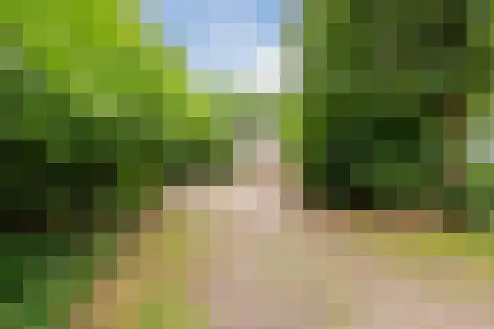 Oshaarseweg 24 31 Echten thumbnail 32