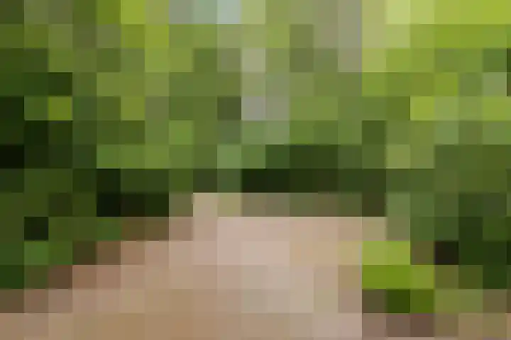 Oshaarseweg 24 31 Echten thumbnail 33