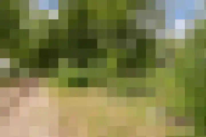 Oshaarseweg 24 31 Echten thumbnail 34
