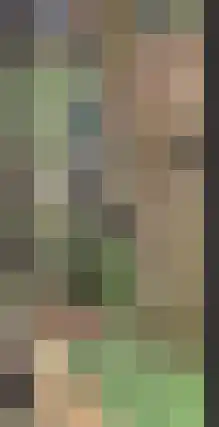 Oshaarseweg 24 31 Echten thumbnail 35