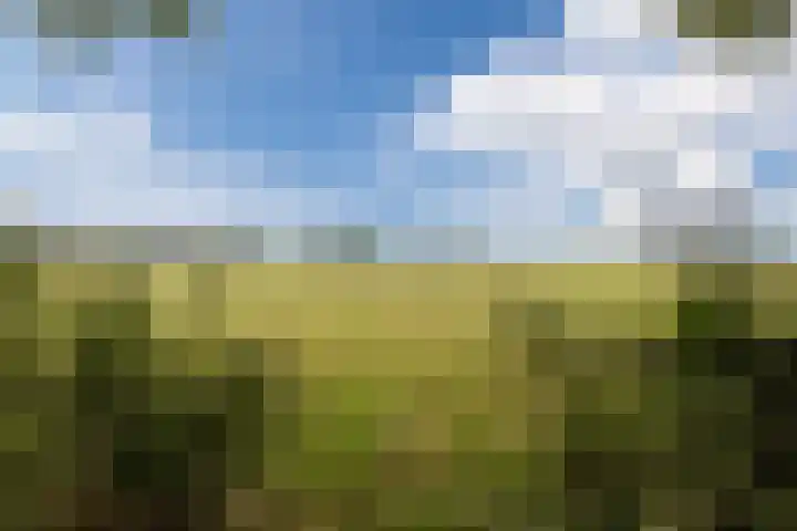 Oshaarseweg 24 31 Echten thumbnail 36