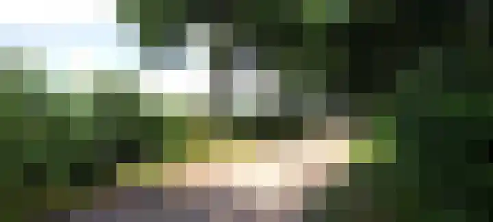 Oshaarseweg 24 31 Echten thumbnail 38