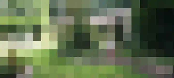 Oshaarseweg 24 31 Echten thumbnail 44