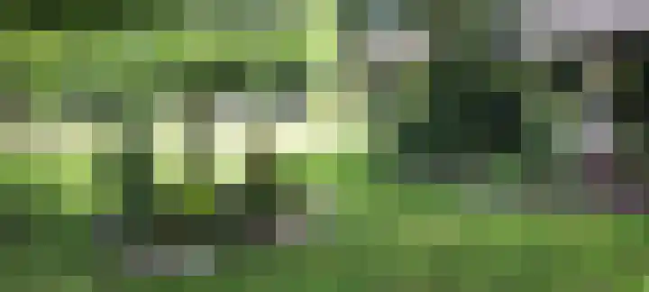 Oshaarseweg 24 31 Echten thumbnail 45