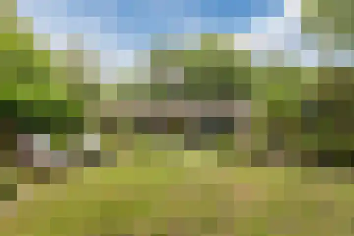 Oshaarseweg 24 31 Echten thumbnail 48