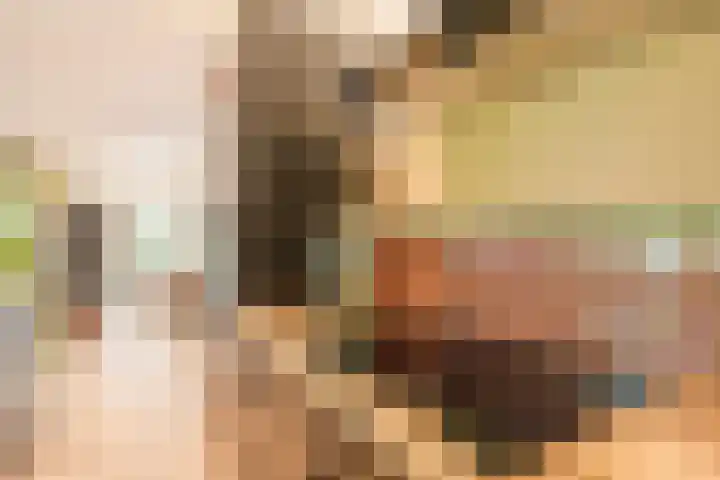Oshaarseweg 24 31 Echten thumbnail 9