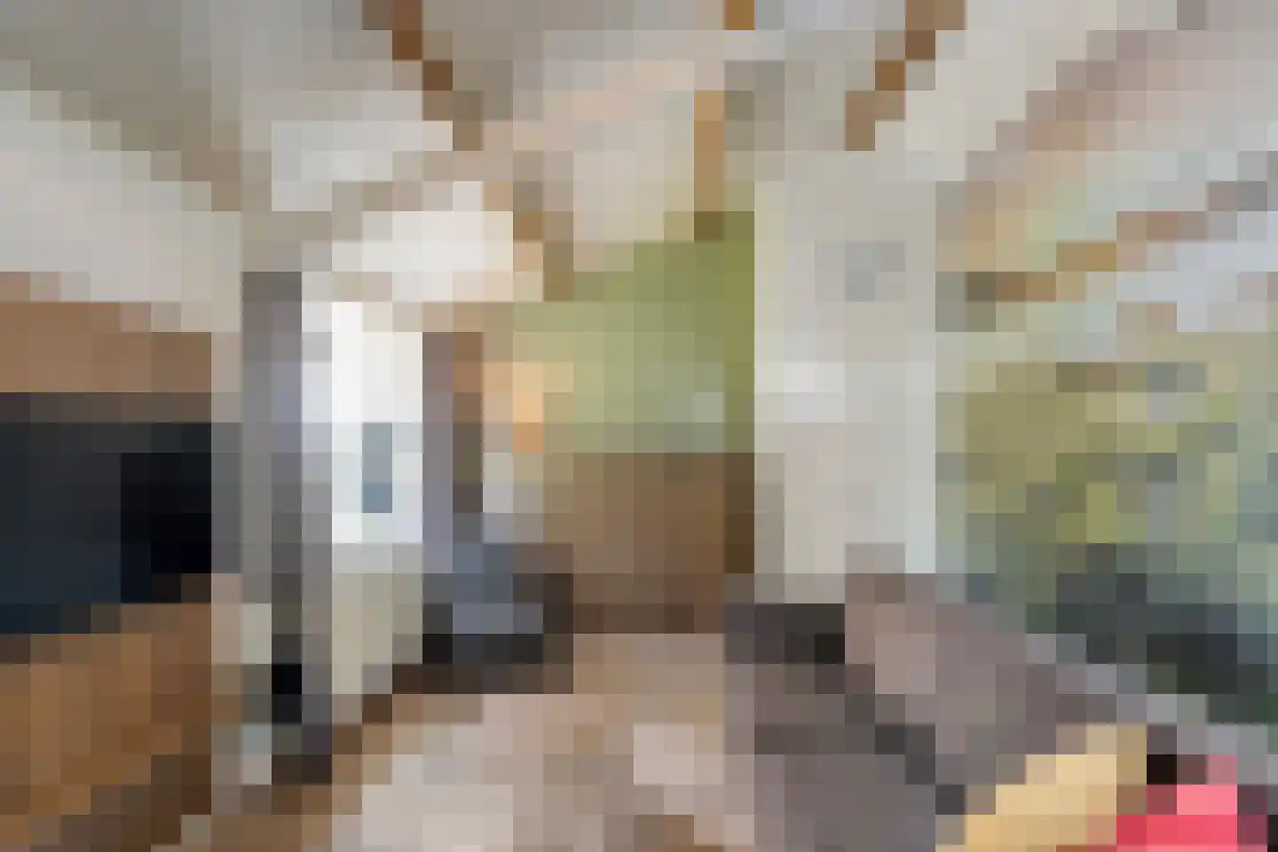 Oshaarseweg 24 33 Echten thumbnail 15