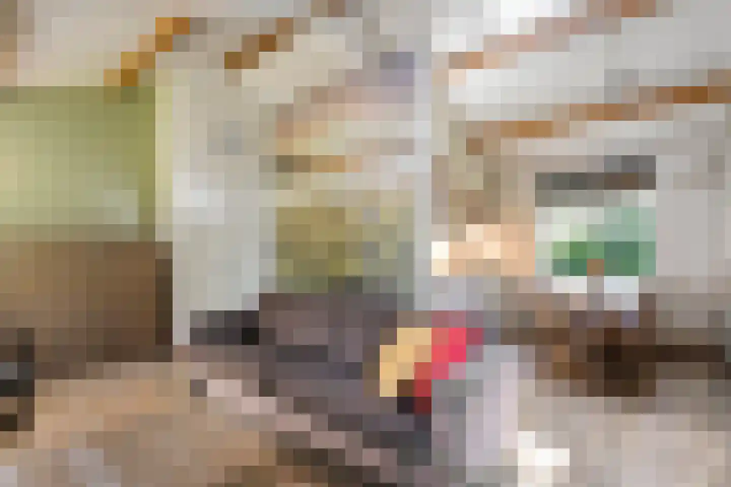 Oshaarseweg 24 33 Echten thumbnail 17