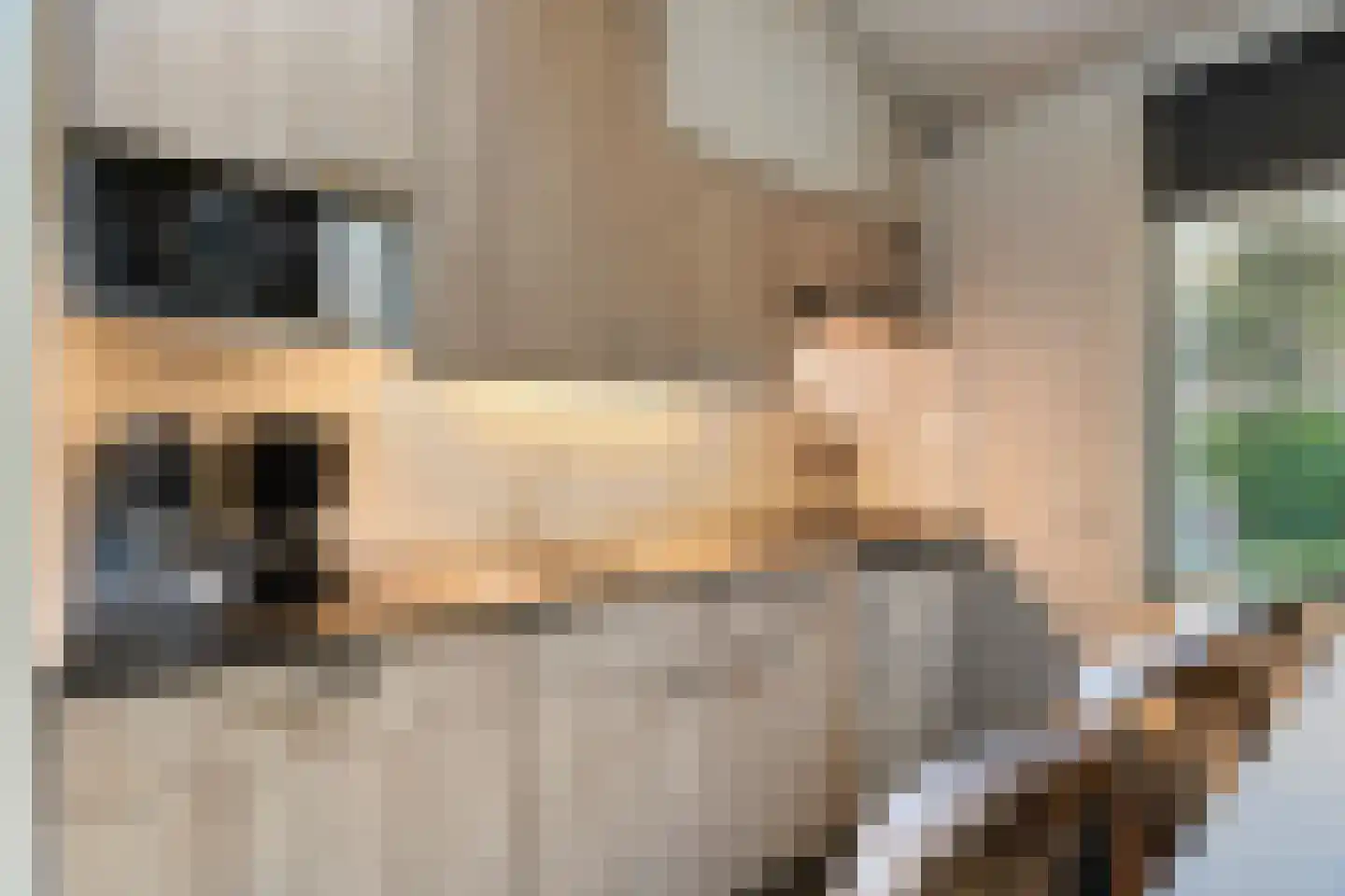 Oshaarseweg 24 33 Echten thumbnail 19