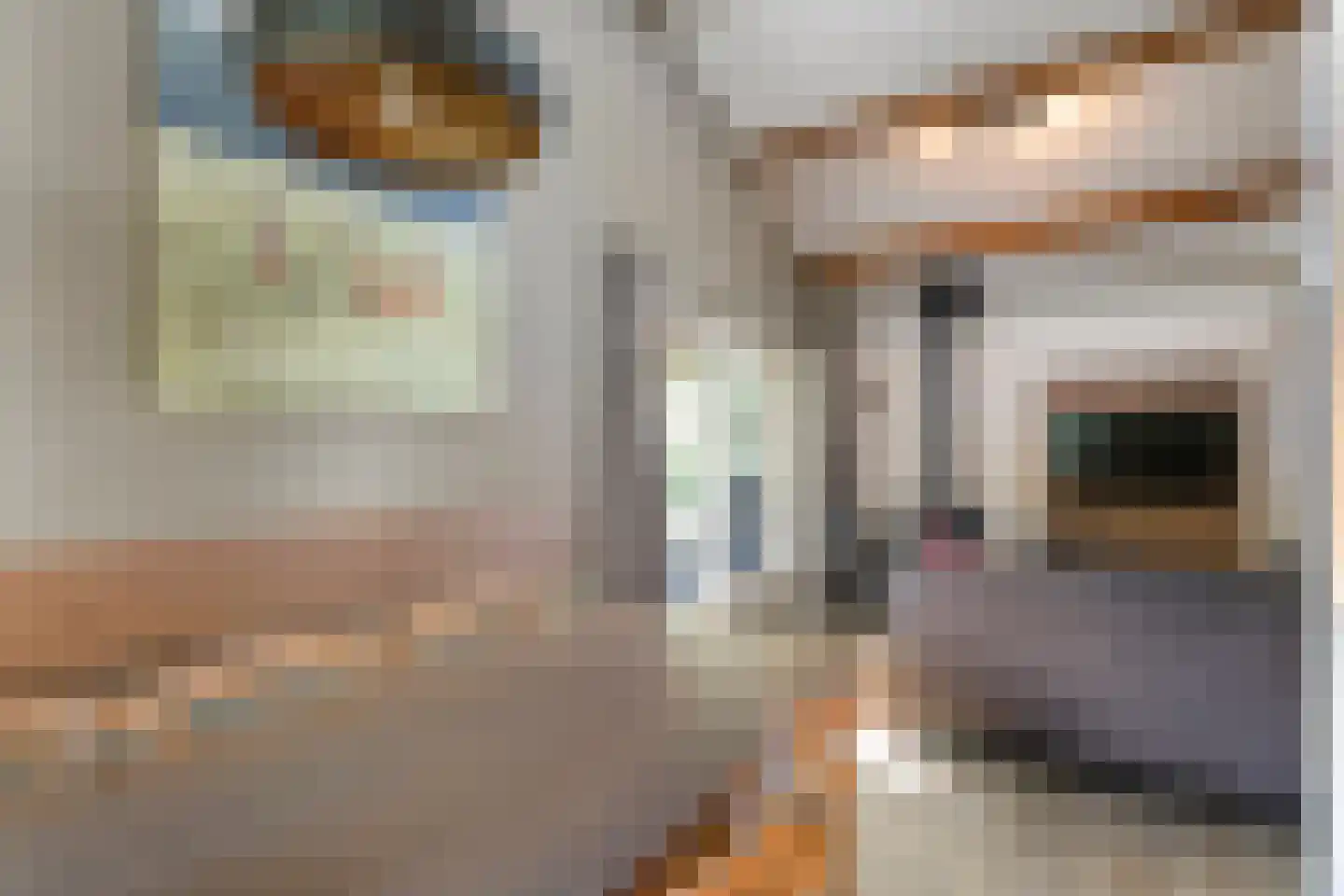 Oshaarseweg 24 33 Echten thumbnail 22
